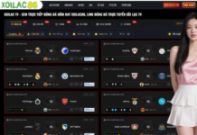 Xoilac: Your Premier Platform for Football and Ket Qua Bong Da Real-Time Match Updates